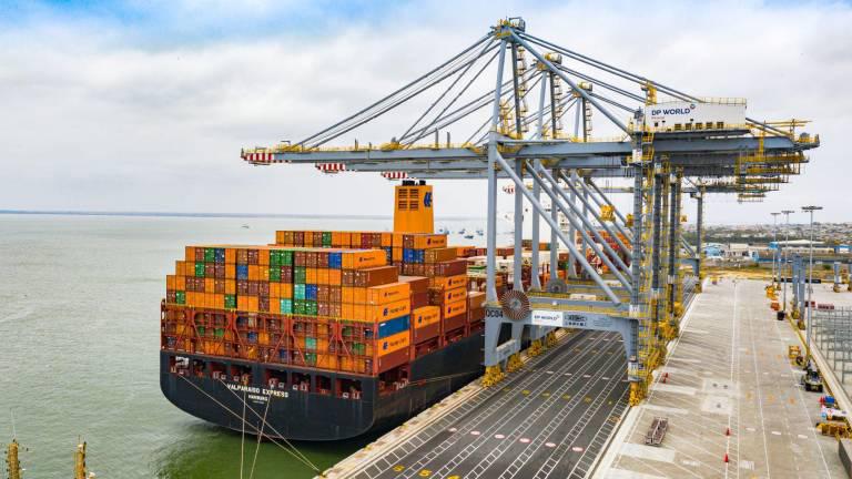 Hallan contenedores contaminados con miles de paquetes de droga en puerto de Guayaquil