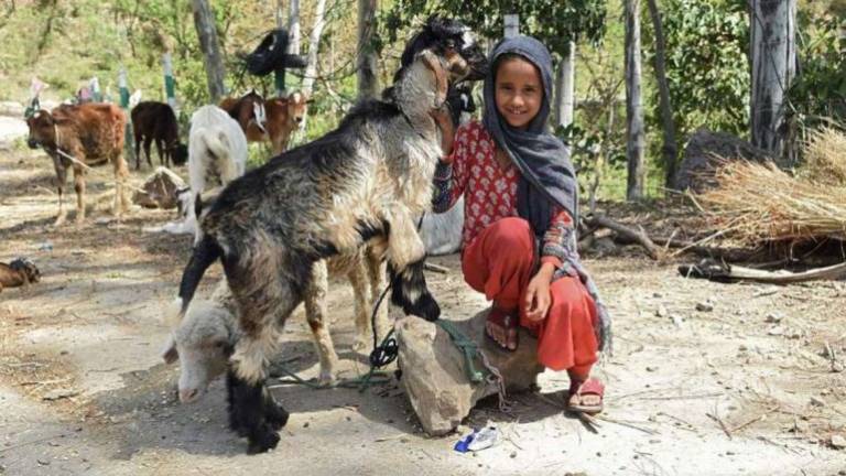 Niña de 8 años fue violada y asesinada por 6 hombres en India