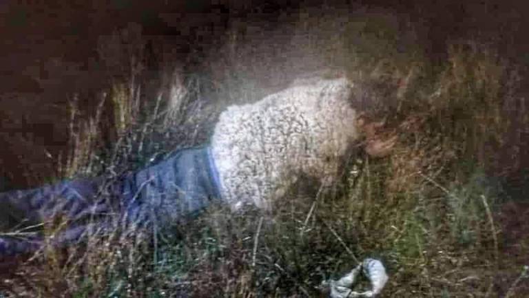 Insólito: Reo se disfrazó de oveja para intentar fugarse de una cárcel de Bolivia