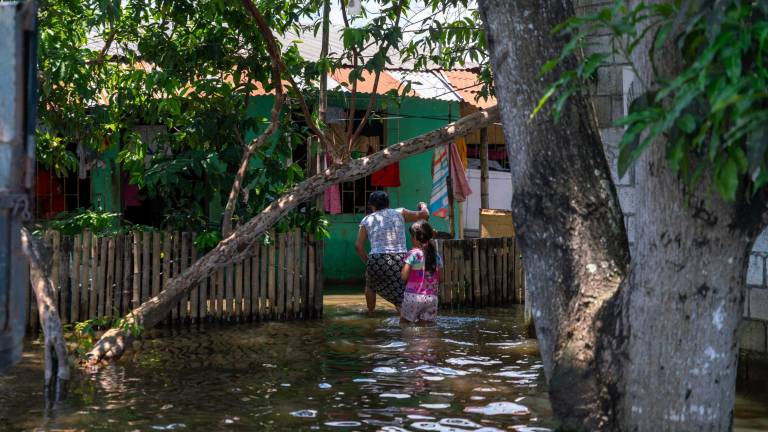 OMM alerta que el fenómeno de El Niño podría intensificar las lluvias e inundaciones en la Costa de Ecuador