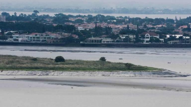 Crecimiento acelerado de islotes y miles de aves: ¿Por qué se ha demorado tanto el dragado en Guayaquil?