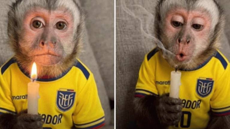 $!Memes que circulan en redes sociales tras la derrota de la Tri.