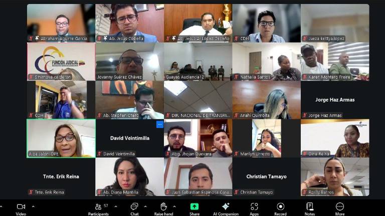 $!Captura de la sesión virtual.