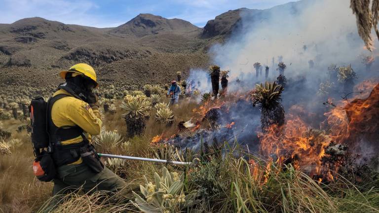 Controlan incendio en reserva ecológica El Ángel: 800 hectáreas fueron consumidas por el fuego