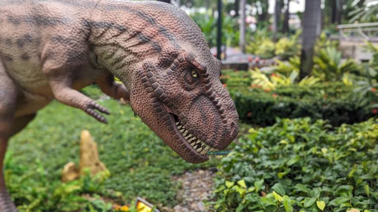 $!TERRAVENTURA es el primer parque temático en Guayaquil