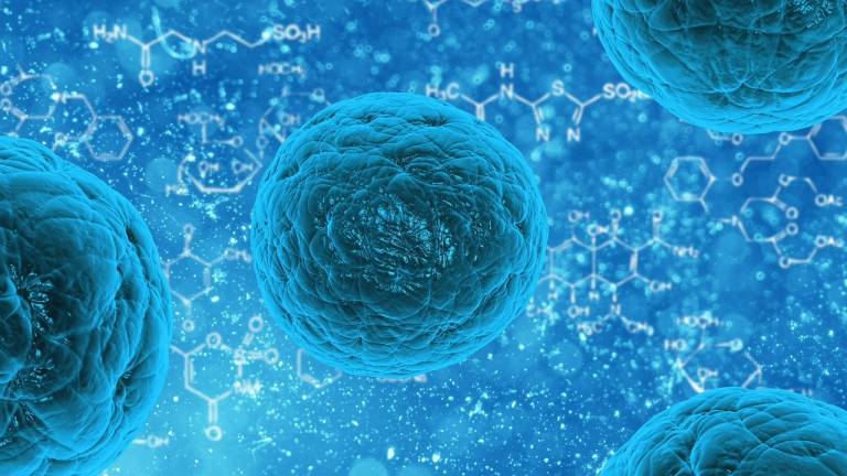 Tratamiento con células madre repara casos de impotencia sexual