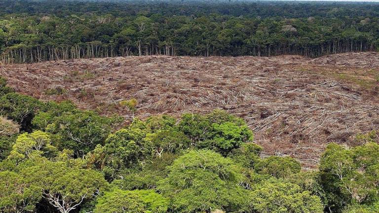 El Gobierno de Brasil pide recursos a los países que critican sus políticas para preservar la Amazonía