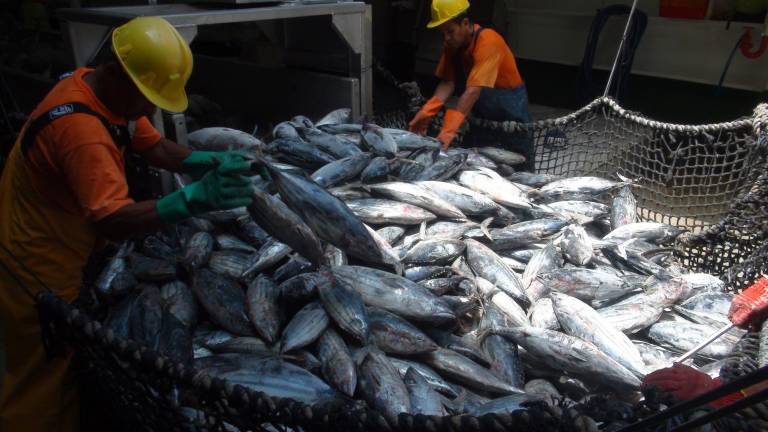 108.000 familias dependen de la actividad pesquera en Ecuador
