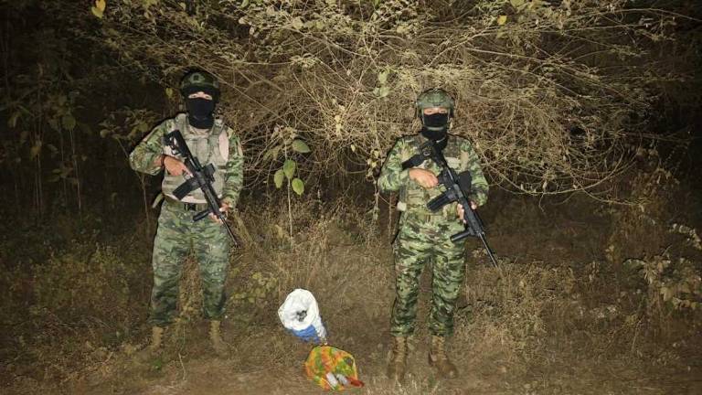 El Ejército decomisó 57 granadas de uso militar que pertenecerían a Los Lobos