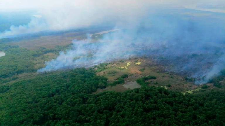 Incendio consume importante reserva en isla colombiana