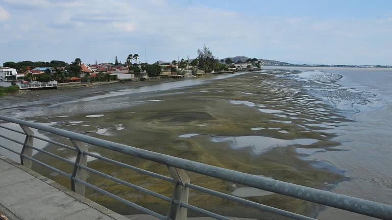 $!Crecimiento acelerado de islotes y miles de aves: ¿Por qué se ha demorado tanto el dragado en Guayaquil?