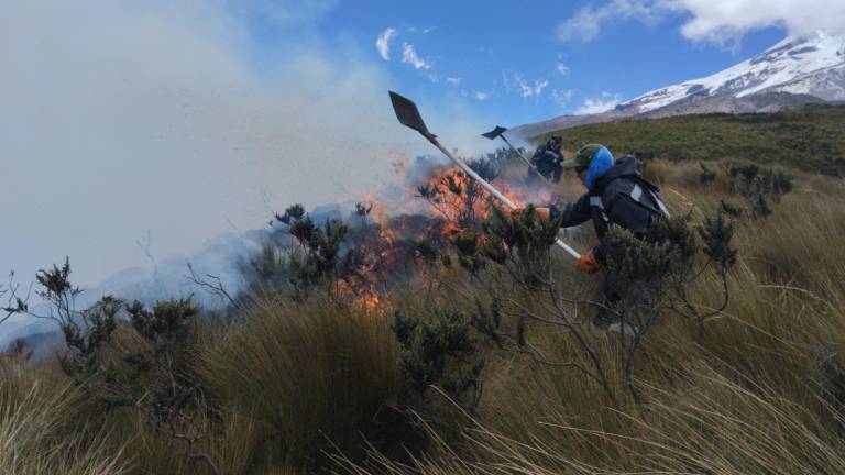 Bomberos y guardaparques combaten incendio en las faldas del Chimborazo