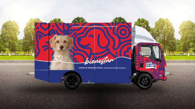La UBA busca perros y gatos para ser la imagen de sus nuevas unidades móviles de esterilización