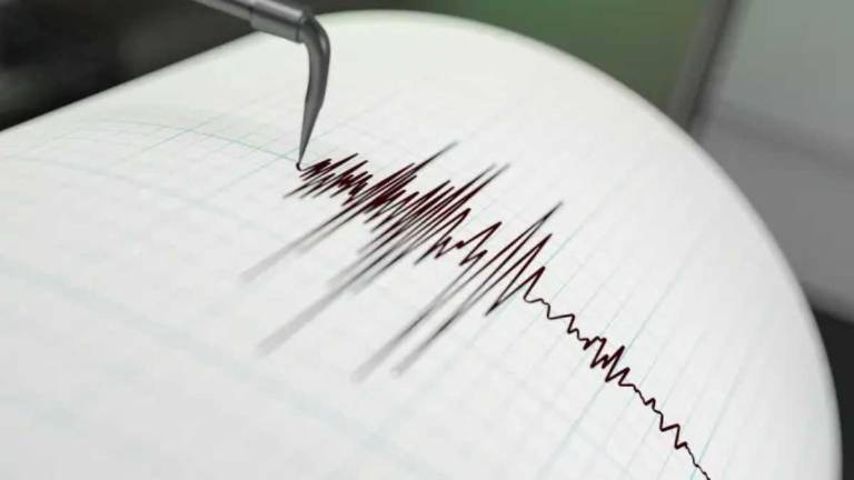 ¿Cuáles fueron las consecuencias del fuerte terremoto que sacudió a Japón?