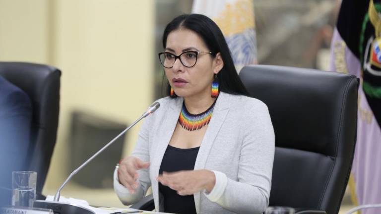 Presidenta del CNE lamenta &quot;campaña sucia&quot; e informa sobre pueblo indígena que no permitirá elecciones
