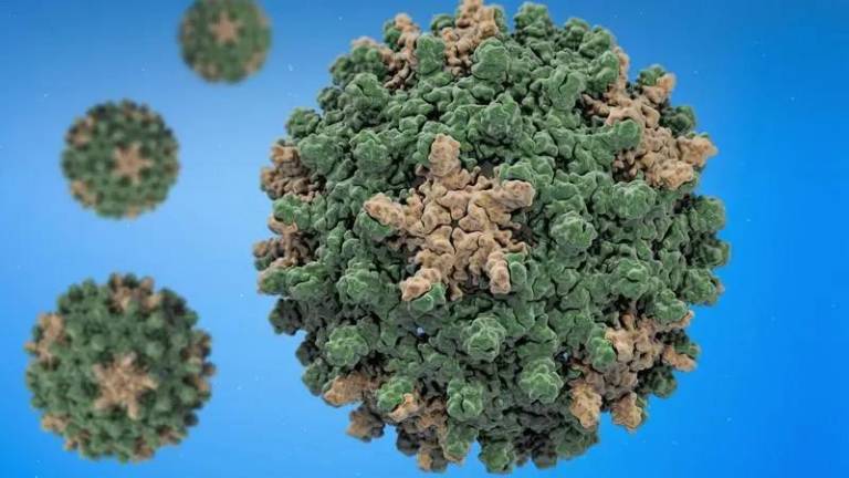 $!La hepatitis B también es un virus de transmisión sexual.