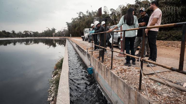 Daniel Noboa denuncia que agua potable de Guayaquil está contaminada con metales y excrementos