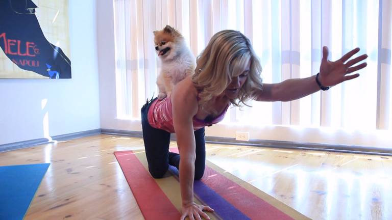 Doga: yoga para amos y perros