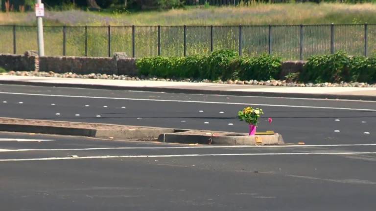 $!Hombre muere atropellado luego de ayudar a un grupo de patos a cruzar la calle en Estados Unidos