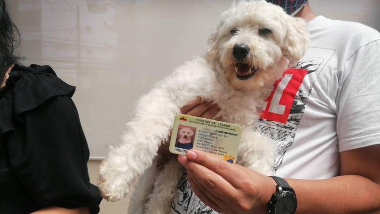 Mascotas y su cédula de identidad ecuatoriana