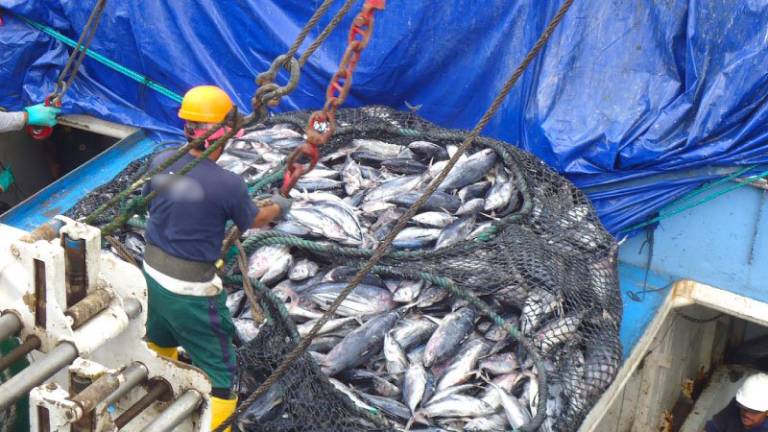 Ecuador cuenta con nueva Ley de Pesca tras exigencias de la Unión Europea