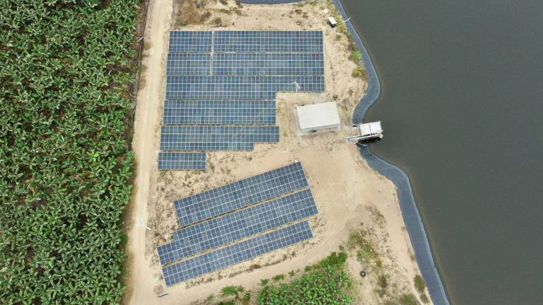 La energía fotovoltaica gana espacio en Ecuador