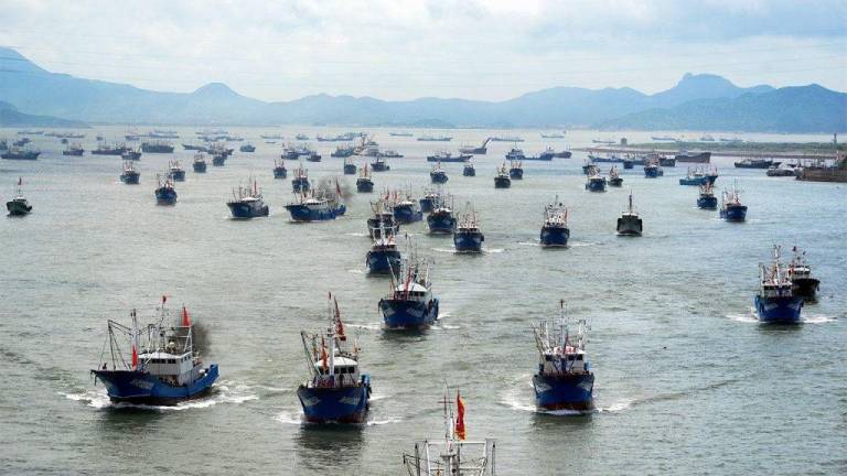 China suspenderá la pesca de calamares en algunas partes del Pacífico y el Atlántico, tras reacción internacional