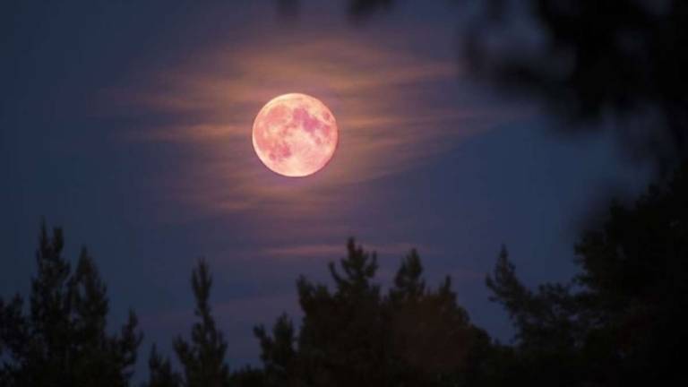 Este 7 y 8 de abril podrá verse la Superluna rosada más brillante del 2020