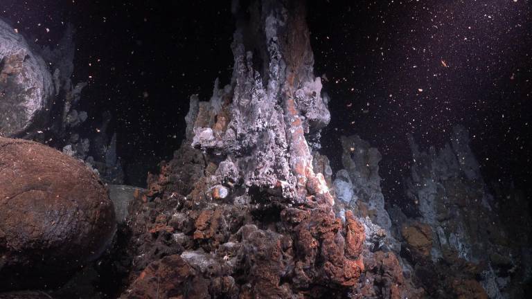 FOTOS: Una fuente hidrotermal del fondo marino de las Islas Galápagos fue descubierta por científicos