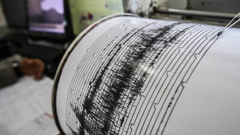 Instituto Oceanográfico alerta de &quot;perturbaciones&quot; en la costa por terremoto en Nueva Zelanda