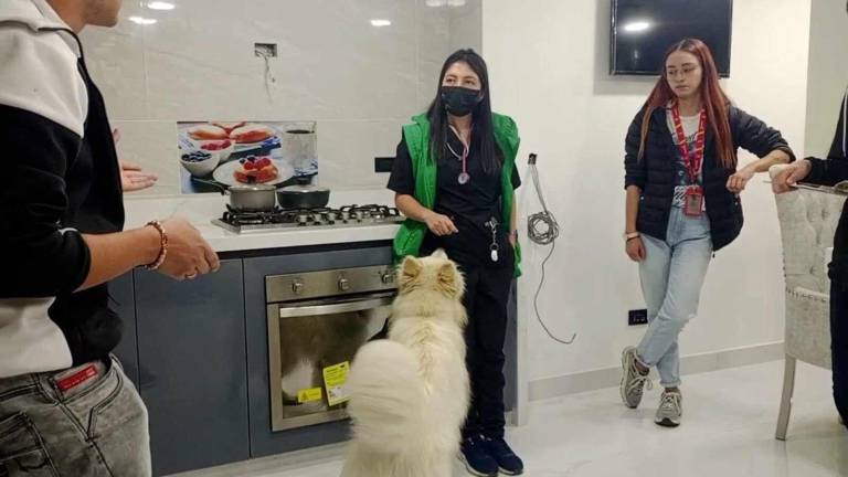 $!Indignación en Bogotá contra hombre que obligó a su perro a correr al lado de su carro en movimiento aumenta tras decisión de autoridades