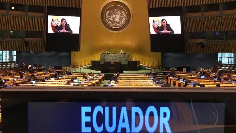 Vicepresidenta plantea acciones frente a la desigualdad de la mujer rural en la ONU