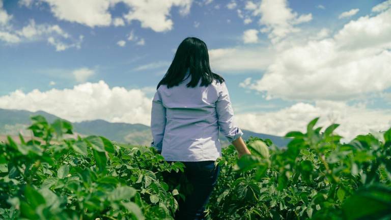 Industrias de alimentos y bebidas persiguen una hoja de ruta sostenible