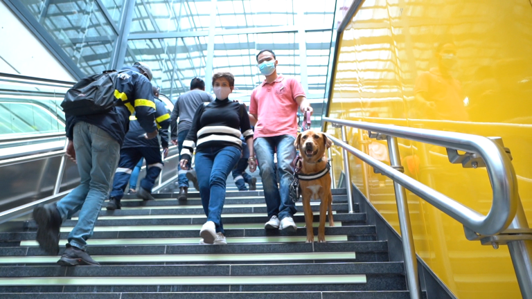 $!El Metro de Quito en fotos: lo que debes saber sobre este nuevo sistema de transporte masivo