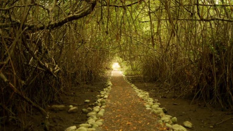 Cuatro municipios reciben más de 430 mil dólares por gestión en áreas de conservación