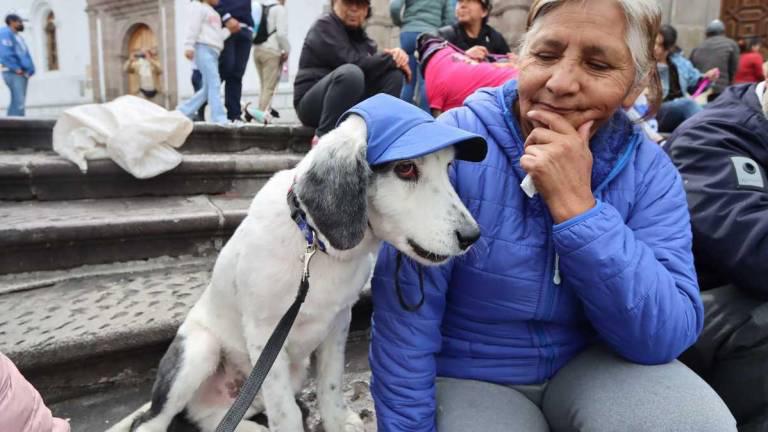 $!Las mascotas son parte fundamental de las familias ecuatorianas.