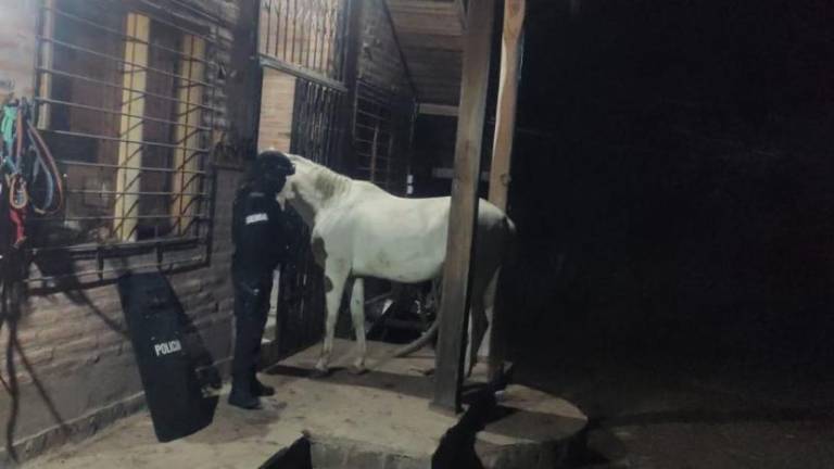 $!Finca donde habría ocurrido el asesinato.