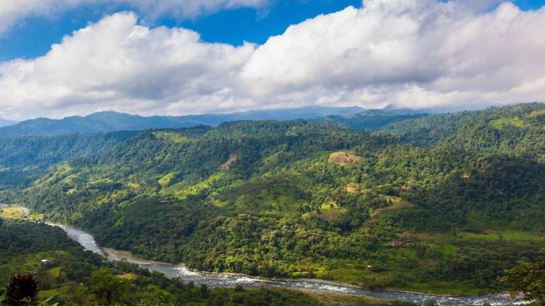 Pobreza, tala y polución, los motivos del No para prohibir la minería en el Chocó Andino