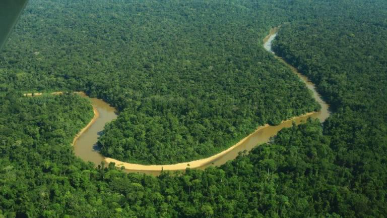 $!Pese a que Petroecuador advirtió una pérdida de ingresos para el país que ascendería a 16 mil millones de dólares en las siguientes dos décadas, la ciudadanía expresó su deseo de mantener el crudo del bloque 43 ITT de Yasuní bajo tierra.