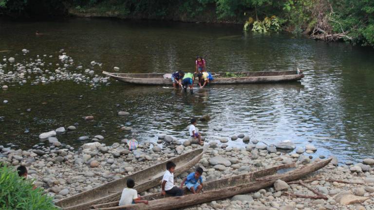 $!Comunidad Awá de Ecuador en el río Pambilar, tributario del Mira.