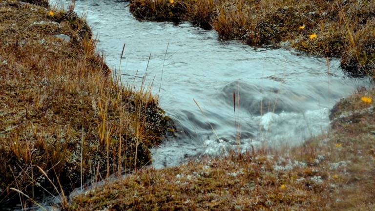 $!La fuente de agua Casimiro Pazmiño proviene del volcán Chimborazo y abastece a cerca de 5 mil personas en Ambato.