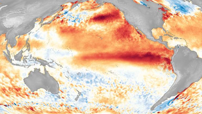 La NOAA confirma la formación de El Niño en el Pacífico y advierte que podría intensificarse en los próximos meses