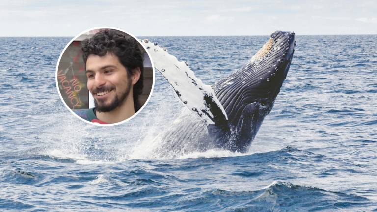 VIDEO | 'Pensé que me había tragado': Adrián Simancas contó cómo fue engullido brevemente por una ballena en Chile