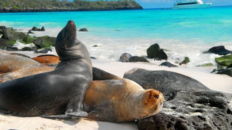 Ecuador anunciará en cumbre de Glasgow un proyecto importante para las Islas Galápagos