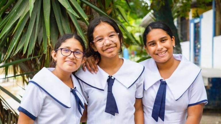 El certificado de matrícula será enviado al correo electrónico registrado por el representante legal.