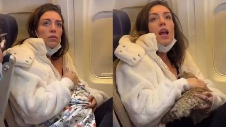 ¿Qué hay detrás del video de una mujer amamantando a un gato en un avión?