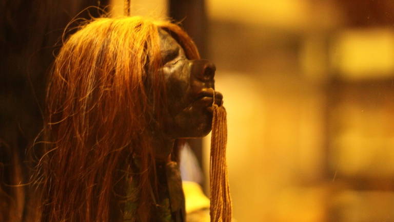 Museo británico retira las cabezas reducidas de los shuar por su &quot;complicada historia colonial&quot;