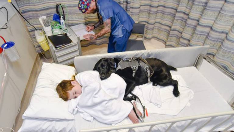 El perro que cuida de su dueño autista en el hospital