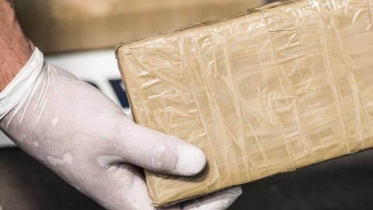 Decomisan más de 8 toneladas de cocaína en Países Bajos procedentes de Ecuador: se trata de una cantidad récord