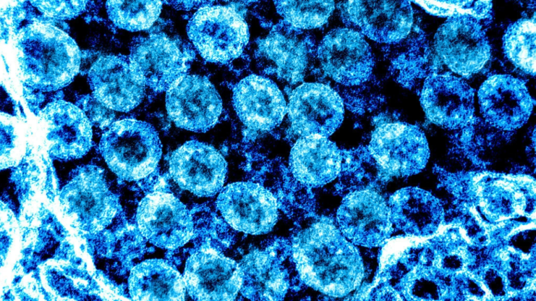 Ómicron: el virus que más rápido se ha propagado en la historia de la humanidad